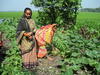 mediaitem/11Foto_vrouwen_Bangladesh