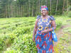 mediaitem/1Organic_tea_farmer_Cameroon_