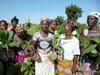 mediaitem/Woman_farmers_in_Ghana