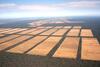 mediaitem/massive_deforestation_for_cattle_in_Paraguay_Guyra