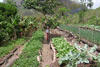 22_Bolivia_agroecology