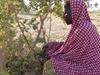 Woman_in_Dan_Kassari_community_in_Niger_pruning_in_