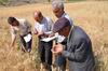 Farmers in Iran learning about local seeds.