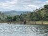 Barro Blanco 2022 - remains of trees still visible above the water