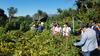 Case 3 - Agroecology workshop by Probioma 2