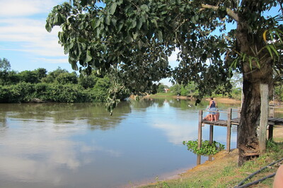 The Pantanal (South America)