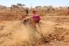 Preparing the soil for regeneration, Niger