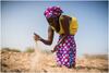 Woman in Senegal shows her dry and salinated paddy (ActionAid)