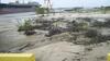 mangroves destroyed for expansion of Suape Harbor, Brazil