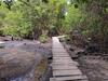 vervuild en verdroogd mangrovebos Suape