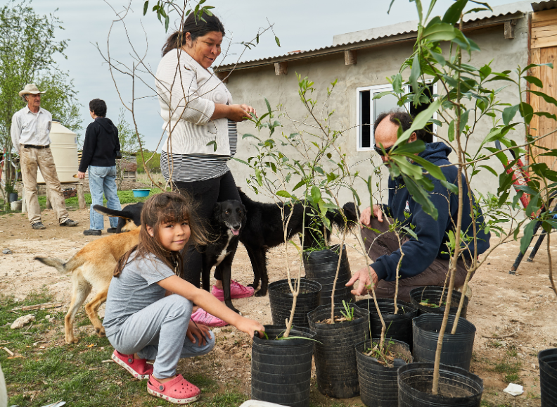 Communities_in_Argentina_s_Paran_Delta_plant_native